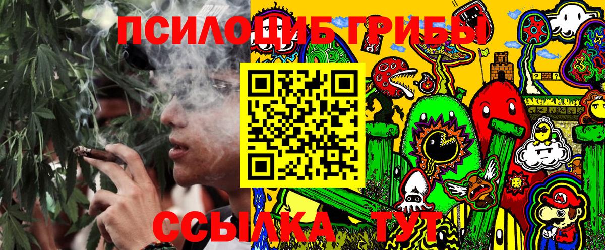 Галлюциногенные грибы Psilocybe  Вход с VPN  Галлюциногенные грибы прущие грибы  Калуга 